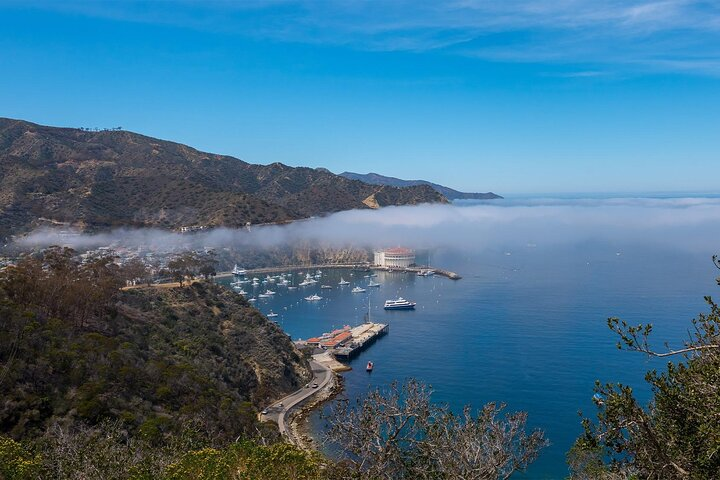 Catalina Island 2-Hour Insider Adventure Tour - Photo 1 of 6